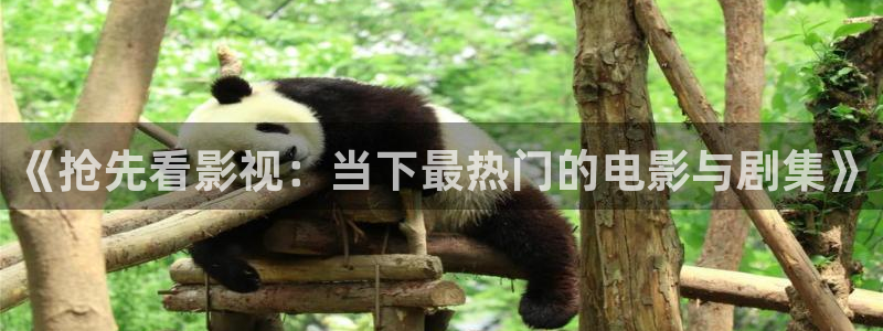 韓倫影院極速播放