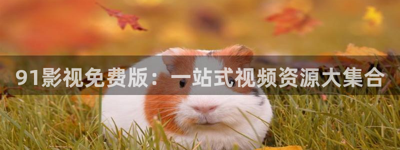 極速影院下