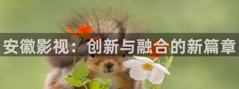 極速影院免費觀看