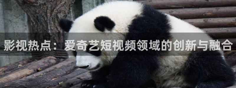 神馬影院極速：影視熱點：愛奇藝短視頻領域的創新與融合