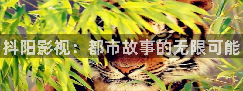 極速影院高清免費